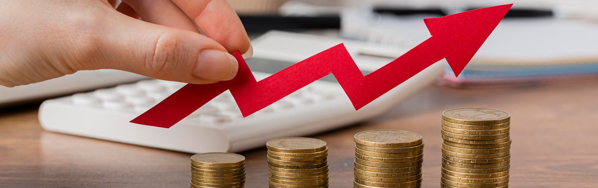 Financial Information of the Group Companies
